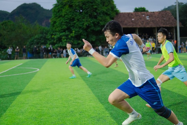 在过去五年